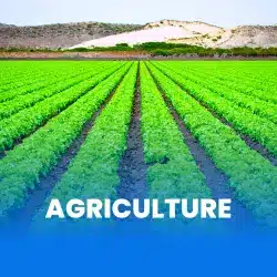 Agriculture Industry Recruitment